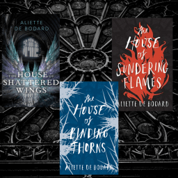 6 Reasons Why I Absolutely Adore “Dominion of the Fallen”